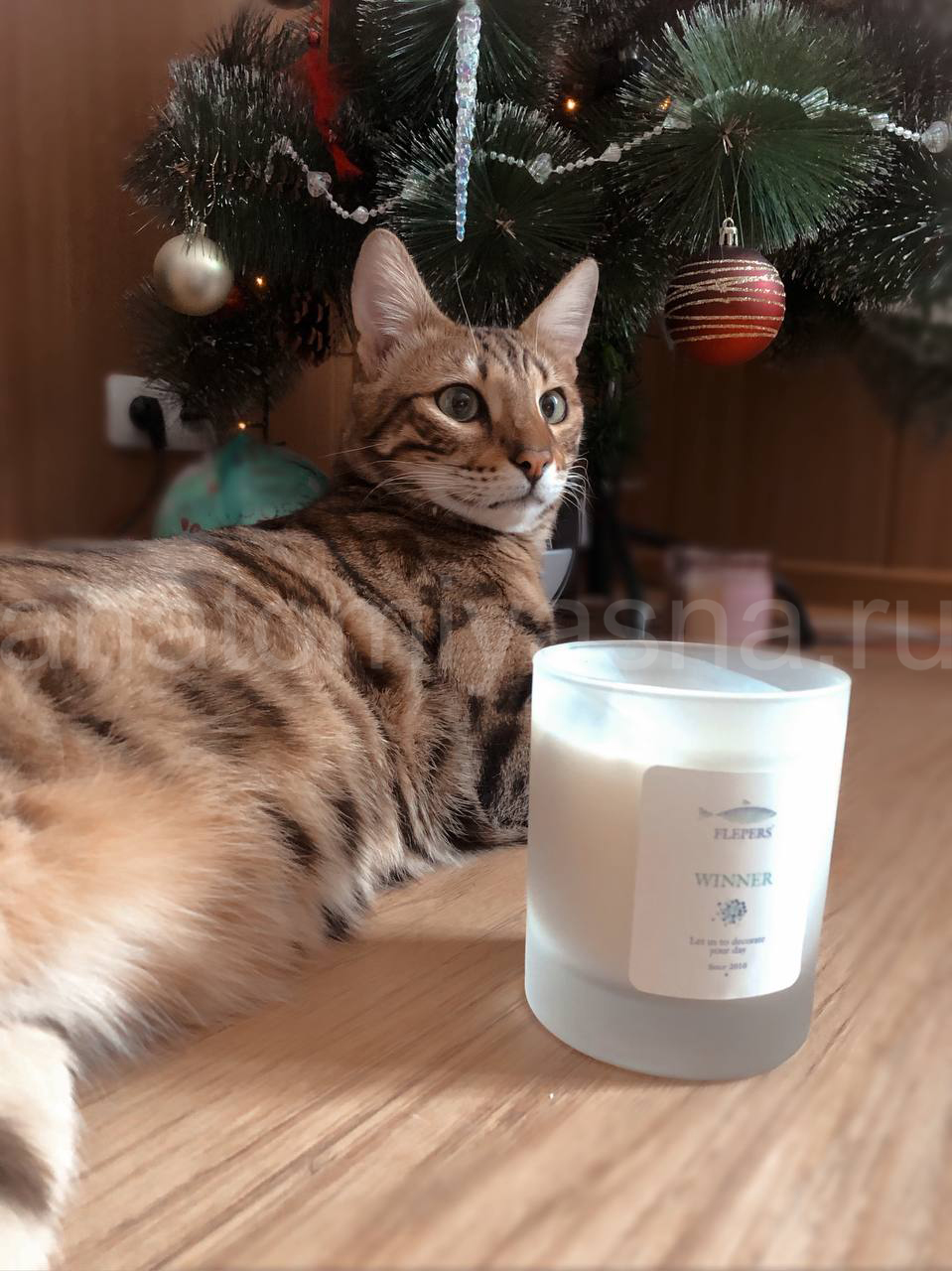 отзыв о Свеча Flepers Winner